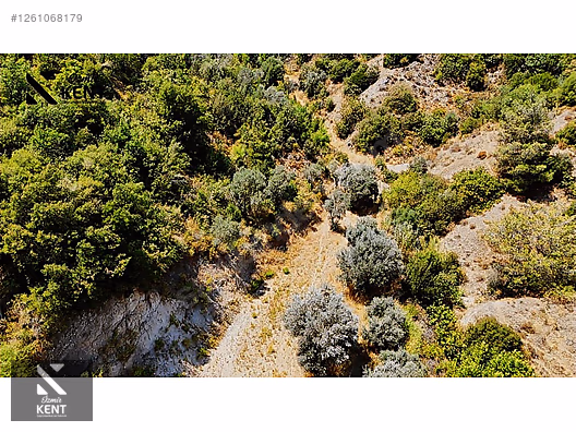 Kemalpaşa Yukarıkızılca Satılık 950 m2 Bahçe Tek Tapu - İZMİR KEMALPAŞA fotoğraf 44