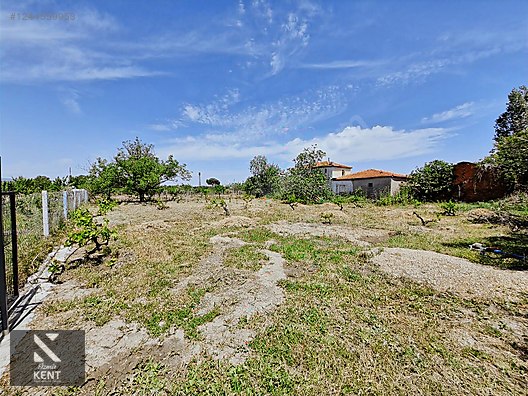 Kemalpaşa Armutlu Satılık 1120 m2 Bahçe - İZMİR KEMALPAŞA fotoğraf 6