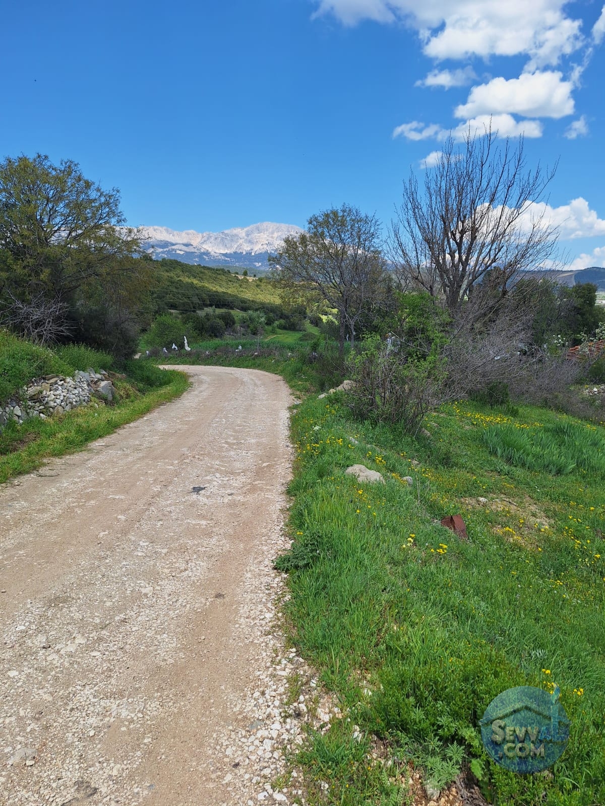BURDUR AĞLASUN KİBRİT KÖYÜNDE SATILIK KERPİÇ EV VE TARLA - Burdur Ağlasun fotoğraf 19