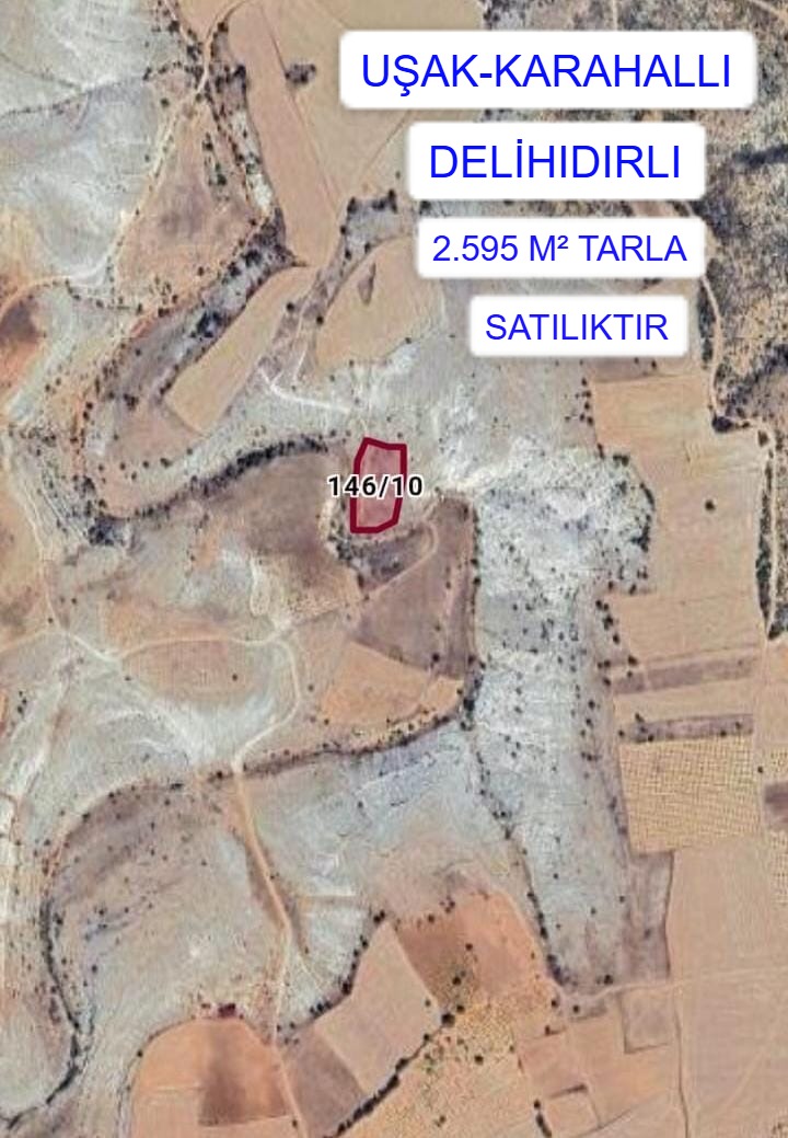 UŞAK KARAHALLI DELİHIDIRLI MAH.2.595M² TARLA SATILIKTIR - UŞAK KARAHALLI fotoğraf 2
