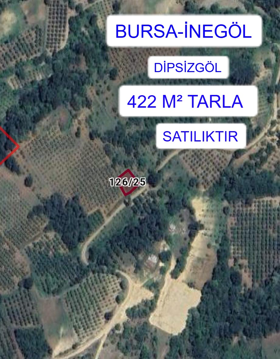 BURSA İNEGÖL DİPSİZGÖL MAH. 422M² TARLA  SATILIKTIR - BURSA İNEGÖL fotoğraf 2