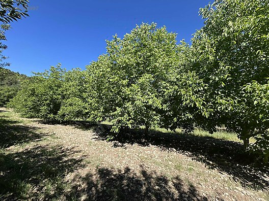 BURSA KELEŞ IDENİZLER 1.450  M²  TARLA  SATILIKTIR. - BURSA KELES fotoğraf 13