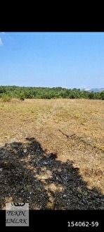 TEKİN EMLAKTAN BİLECİK OSMAELİNDE SATILIK TARLA - BİLECİK OSMANELİ fotoğraf 7