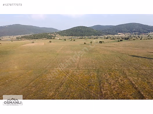 HİSARCIK'TA 4.675 M2 KÖŞE PARSEL YATIRIM FIRSATI - BİLECİK OSMANELİ fotoğraf 9