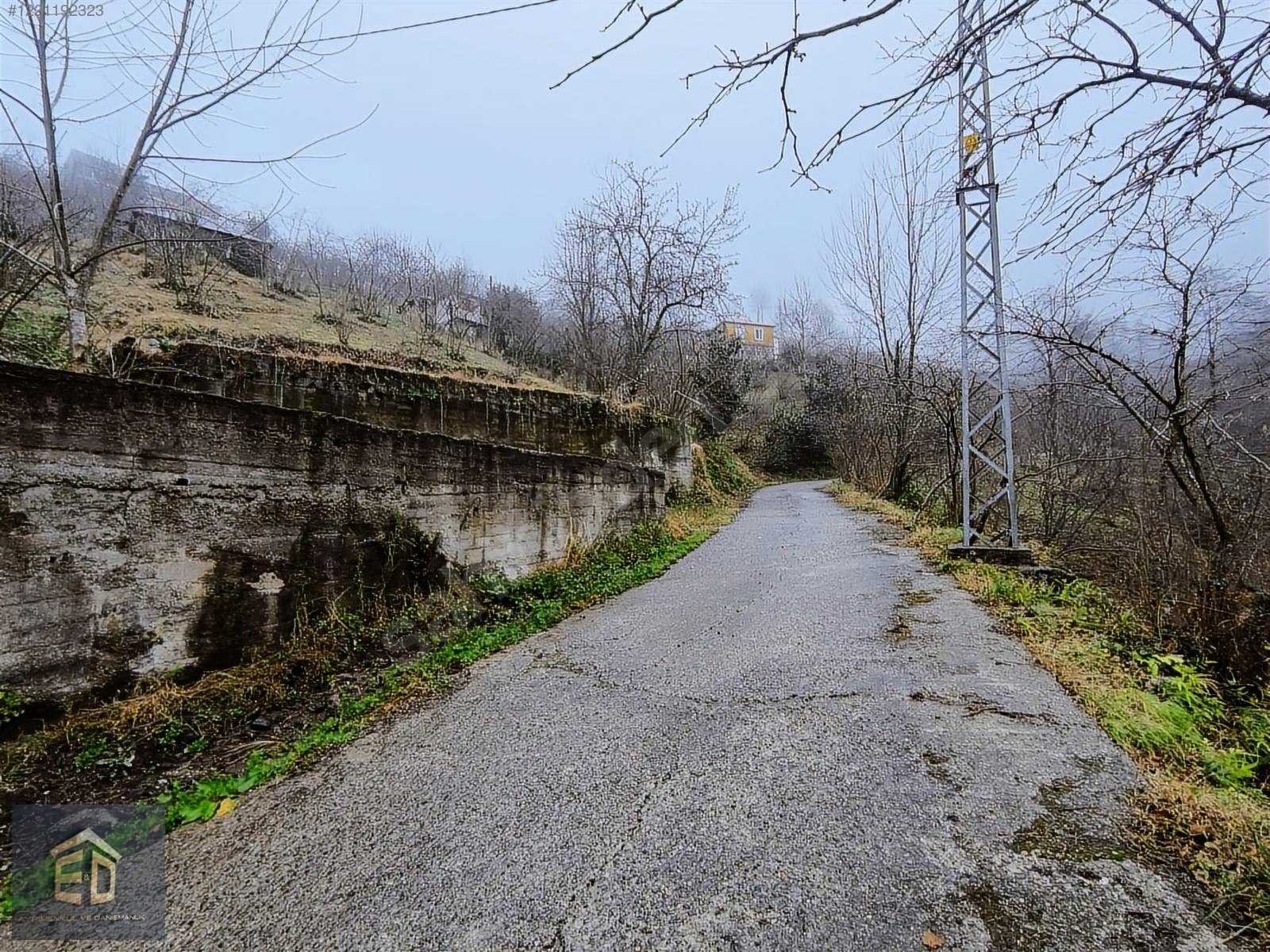 Tirebolu Akıncılar köyü satılık müstakil Ev. - GİRESUN TİREBOLU fotoğraf 3