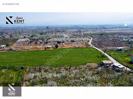 Kemalpaşa Ören 75. Yıl Satılık 8770 m2 Tek Tapu Tarla - İZMİR KEMALPAŞA fotoğraf 15