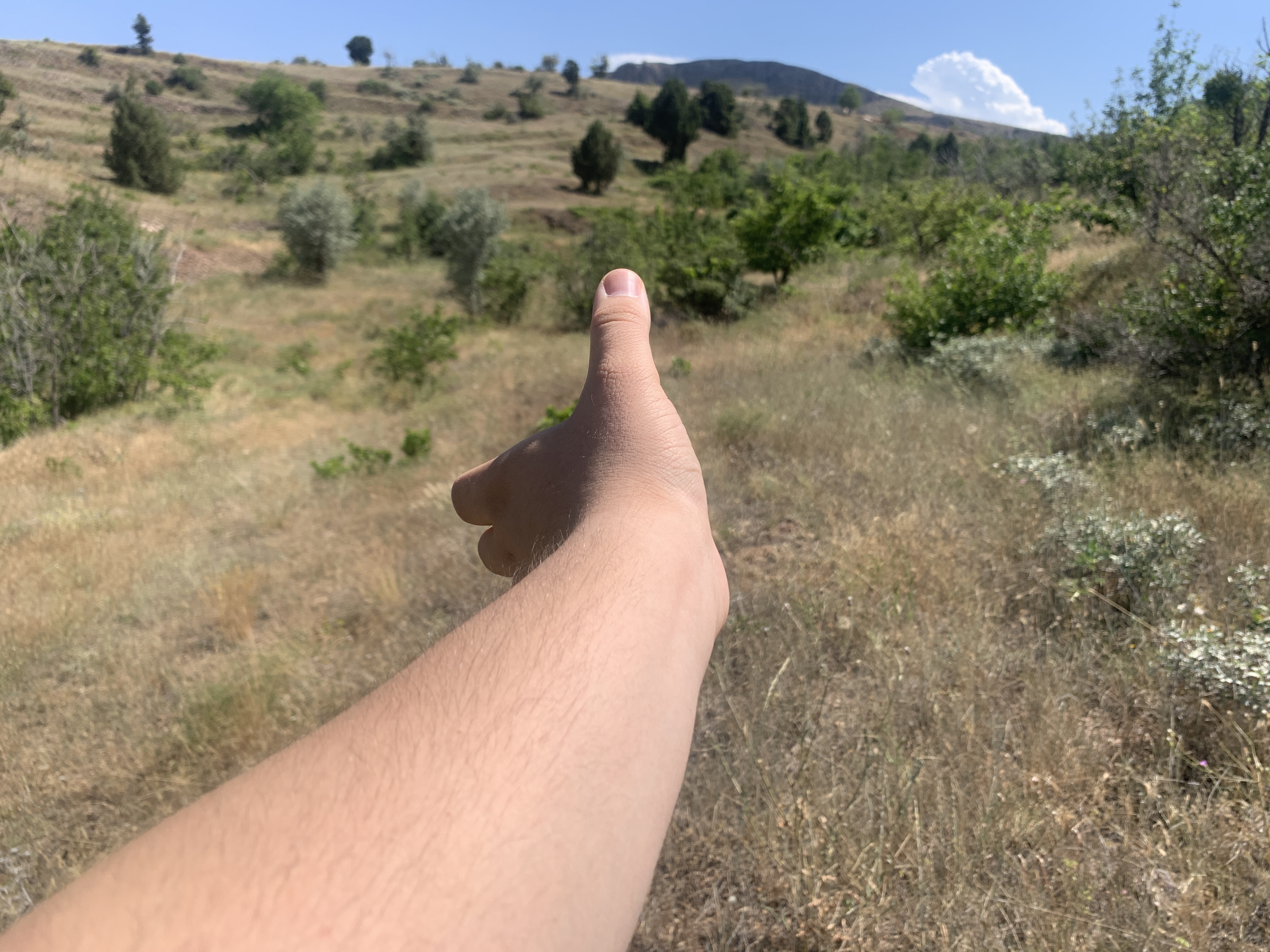 KONYA BOZKIR HACILAR KÖYÜNDE 236 M2 BAĞ SATILIKTIR. - KONYA BOZKIR fotoğraf 13
