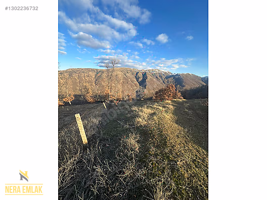 HORZUMKESERLER-İZMİR SARISU'YA YAKIN KADASTRO YOLLU 2.138m2 - MANİSA ALAŞEHİR fotoğraf 17