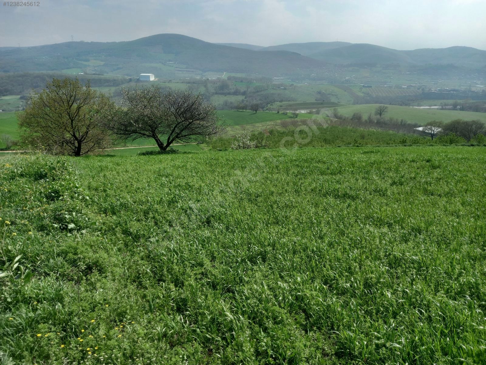 BURSA KESTEL ERDOĞAN KÖYÜ'NDE 3.663  M² TARLA SATILIKTIR - BURSA KESTEL fotoğraf 10