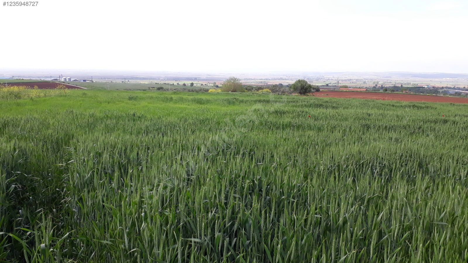 BURSA KARACABEY ARIZ KÖYÜNDE 14.250 M² TARLA SATILIKTIR - BURSA KARACABEY fotoğraf 8
