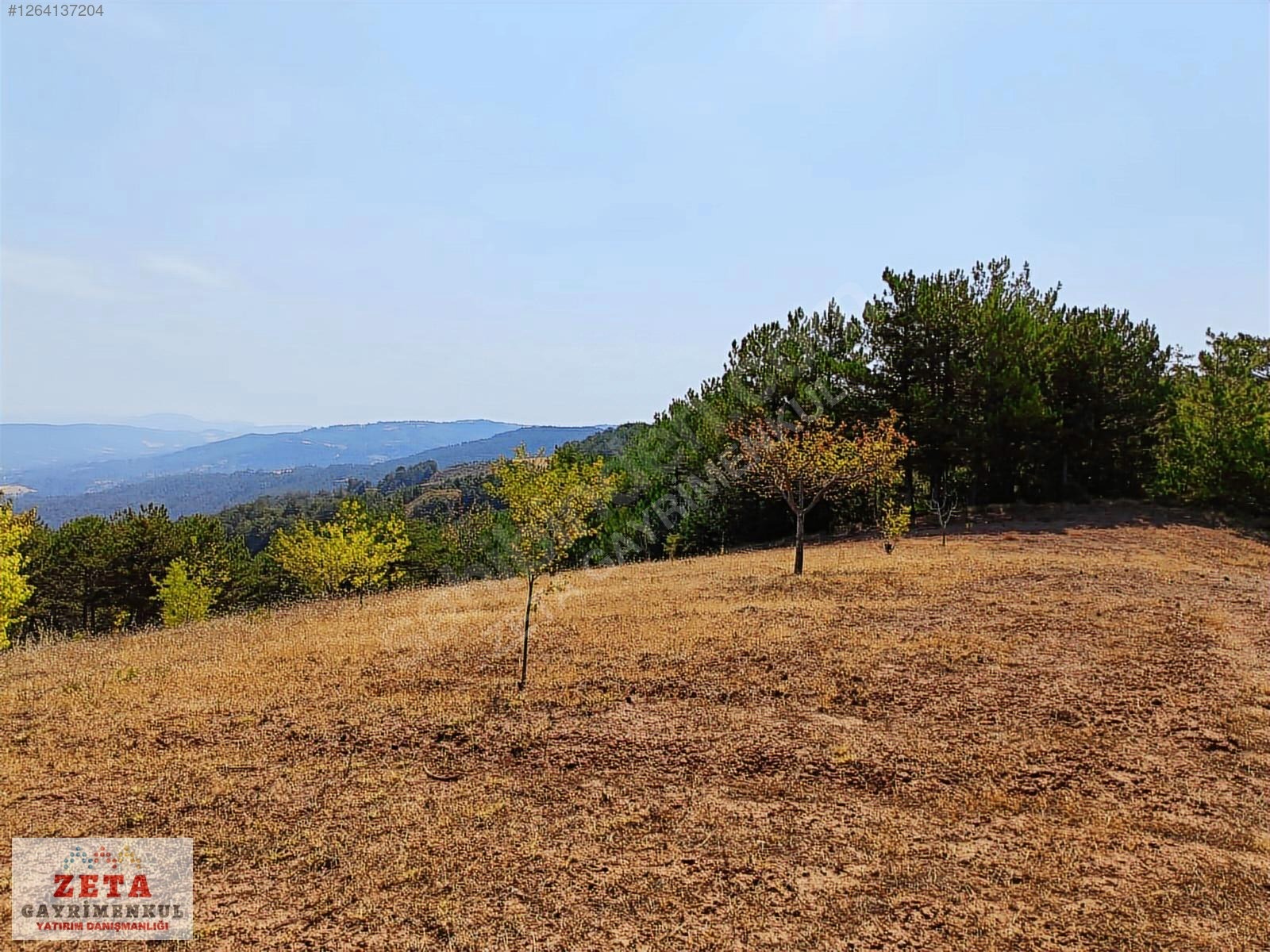 Sakarya Taraklı'da Manzaralı 5.291 m² Hobi Bahçesi/Yatırımlık - SAKARYA TARAKLI fotoğraf 3