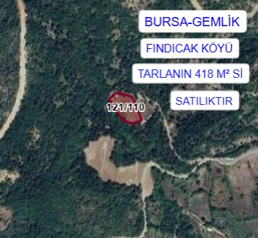 BURSA GEMLİK FINDICAK MAH.TARLANIN 418M² Sİ SATILIK - BURSA GEMLİK fotoğraf 3
