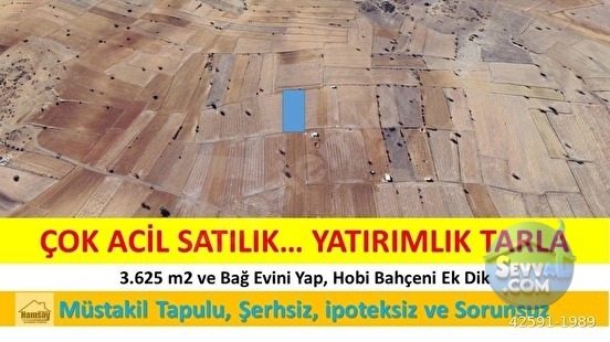 Çok Acil Satılık Yatırımlık Tarla - ANTALYA KORKUTELİ fotoğraf 5