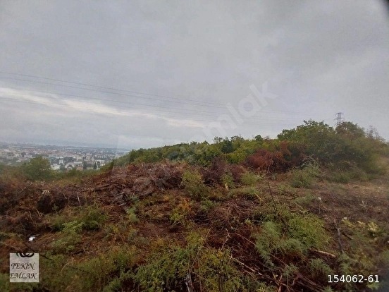 YALOVA ALTINOVA KAYTAZDERE'DE 7180M2 YATIRIMLIK TARLA BİR BÜLÜMÜ İMARLI 2 PAPSEL - YALOVA ALTINOVA fotoğraf 13