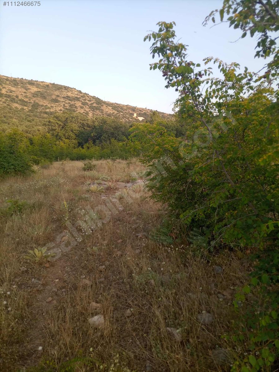 DENİZLİ BEKİLLİ DEŞDEMİR KÖYÜNDE  5.489 M²   TARLA SATILIKTIR - DENİZLİ BEKİLLİ fotoğraf 16