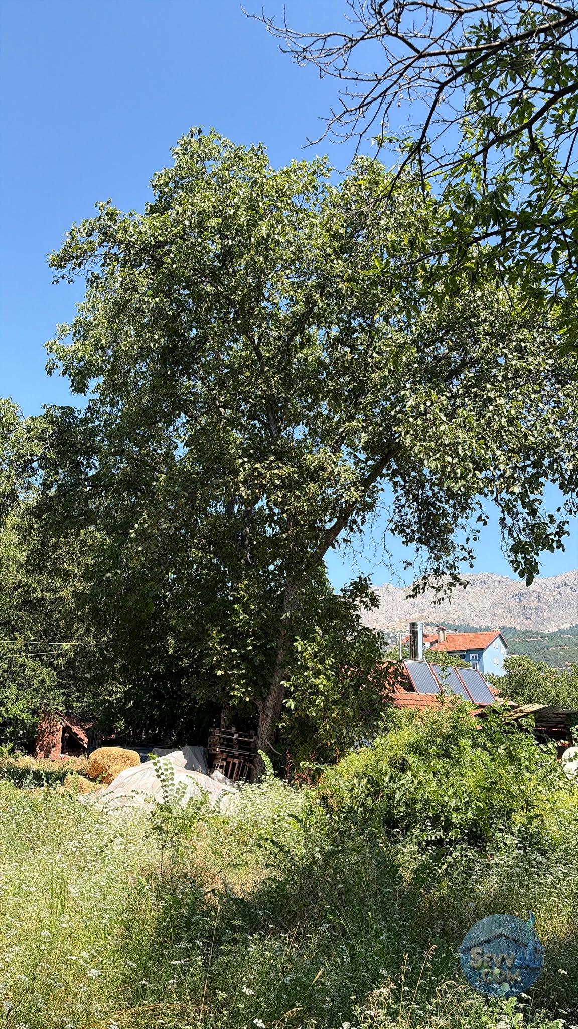 AĞLASUN SAKARCA MAHALLESİNDE SATILIK MUHTELİF ARSA - BURDUR AĞLASUN fotoğraf 16