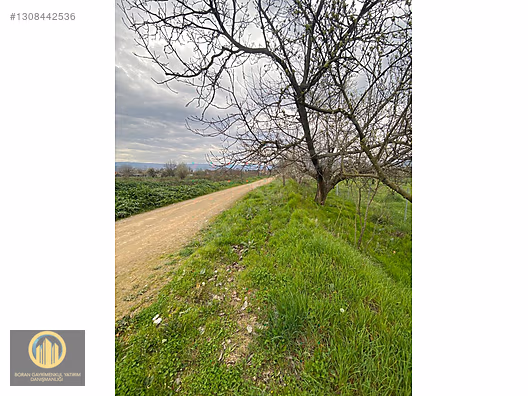 KUCUK YENICEDE RESMI YOLA CEPHE HOBI BAHCESI - BURSA İNEGÖL fotoğraf 19