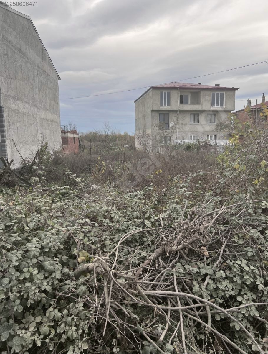 Organize karşısı arsa - SAMSUN ÇARŞAMBA fotoğraf 4