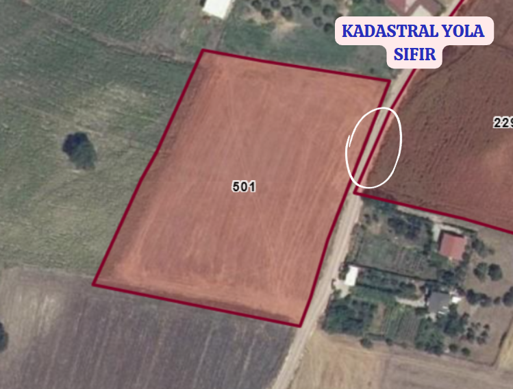 BURSA KARACABEY ORHANİYE  KÖYÜNDE  TARLANIN 4.500 M²  Sİ  SATILIKTIR - BURSA KARACABEY fotoğraf 3