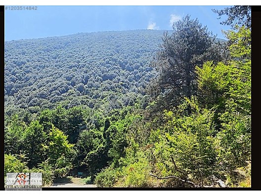 AYHAN HEPDİKER DEN GEYVE NURİOSMANİYEDE 18000 M2 HARİKA KONUMDA - SAKARYA GEYVE fotoğraf 7