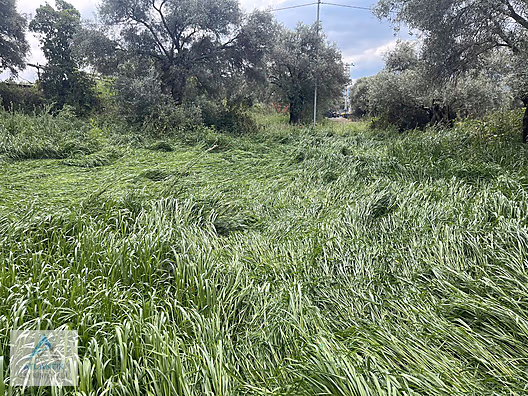 Atlantik gayrimenkul den satılık imarlı arsa - İZMİR ÖDEMİŞ fotoğraf 14