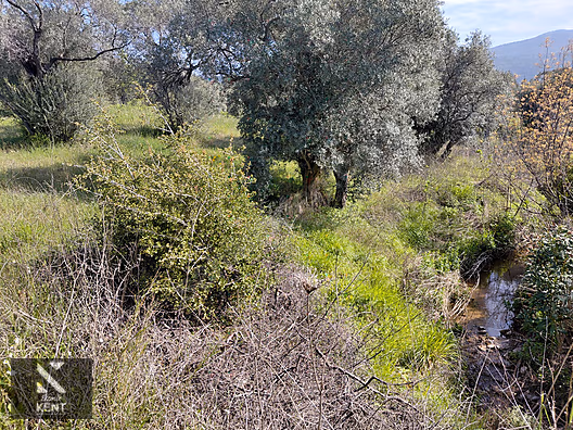 Kemalpaşa Dereköy'de Satılık 4850 m2 Bahçe - İZMİR KEMALPAŞA fotoğraf 31