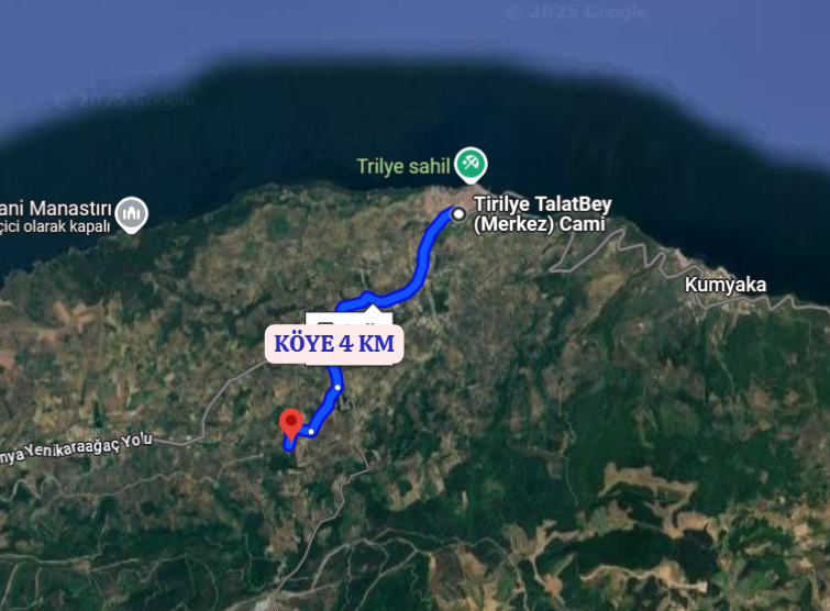 BURSA MUDANYA TİRİLYE (TALATBEY)  KÖYÜNDE 3.753 M²  ZEYTİNLİK SATILIKTIR - BURSA MUDANYA fotoğraf 4