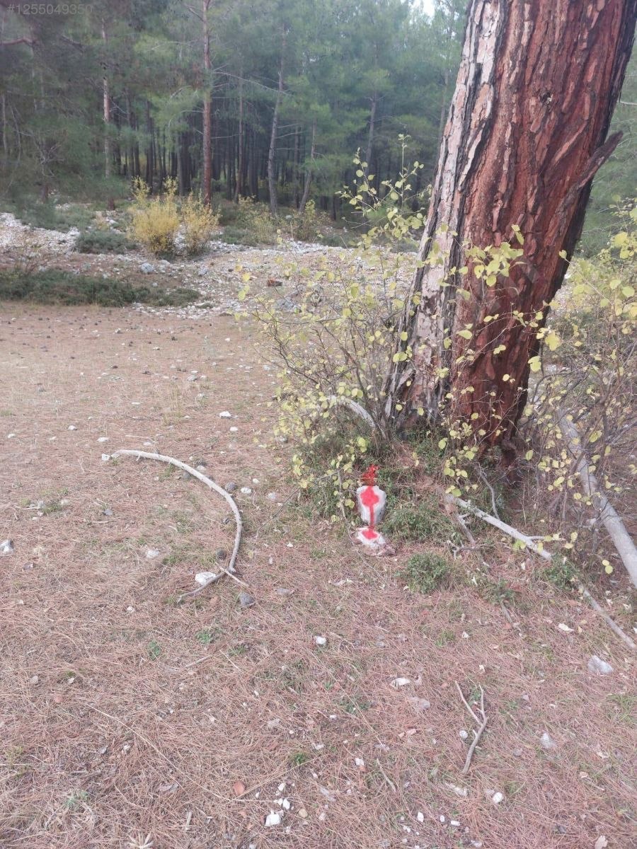 Antalya / Kumluca / Karacaören Mahallesinde 2.492 m² SATILIK ARSA - ANTALYA KUMLUCA fotoğraf 7