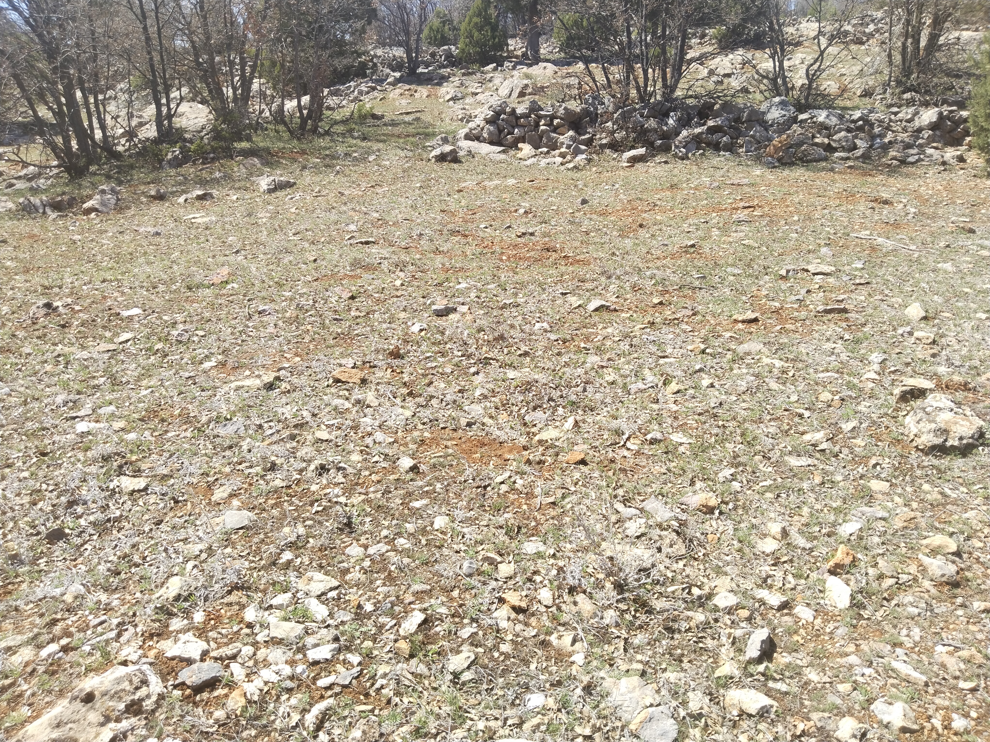 KONYA BOZKIR HAMZALAR KÖYÜNDE 2.167M² BAĞIMIZ SATILIKTIR. - KONYA BOZKIR fotoğraf 20
