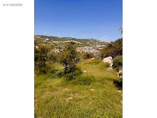 PANORAMİK MANZARALI YATIRIMLIK ZEYTİNLİK - HATAY YAYLADAĞI fotoğraf 31