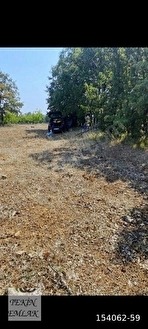 TEKİN EMLAKTAN BİLECİK OSMAELİNDE SATILIK TARLA - BİLECİK OSMANELİ fotoğraf 4
