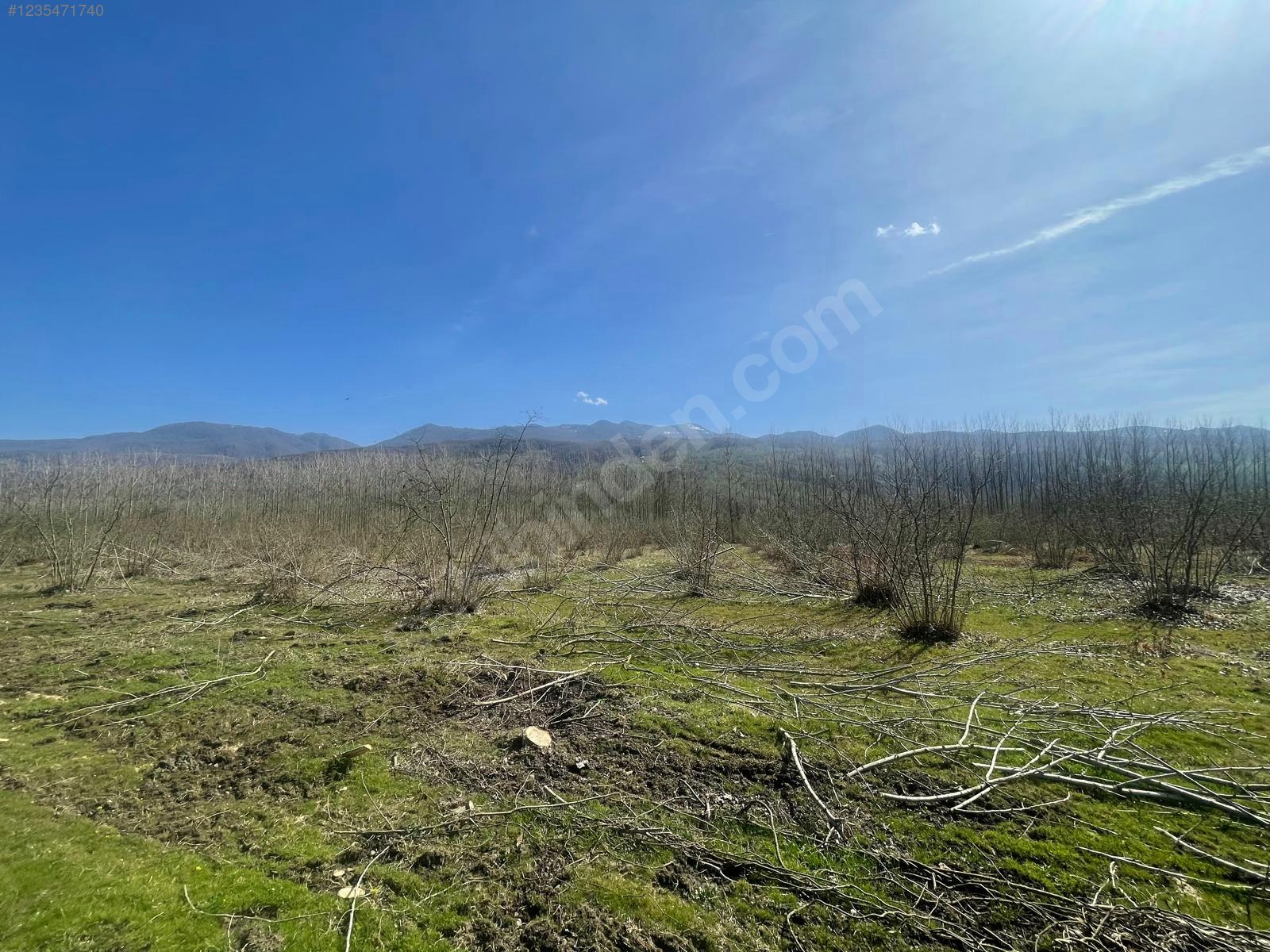 SAKARYA HENDEK ÇAMLICA MAH.( A.ÇARIĞKURU) 11.121 M²  TARLA  SATILIKTIR. - SAKARYA HENDEK fotoğraf 8