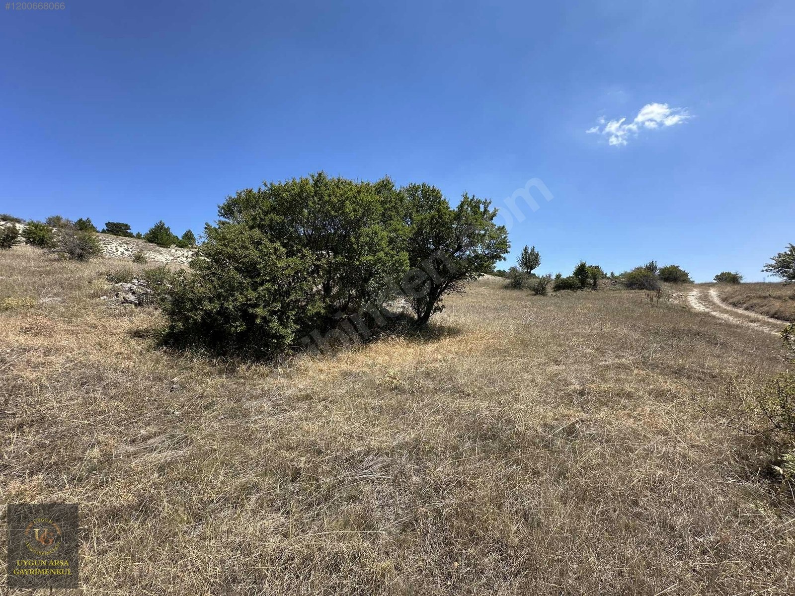 BOLU KIBRISCIK SARIKAYA'DA 8.370 M2 UYGUN ARSA - BOLU KIBRISCIK fotoğraf 20