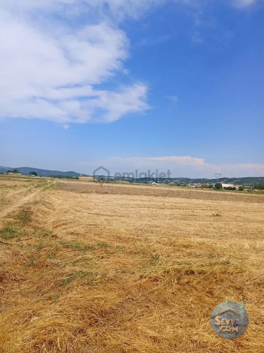 Gökçeyazı Da Kadastro Yolu Mevcut Tarla - BALIKESİR İVRİNDİ fotoğraf 21