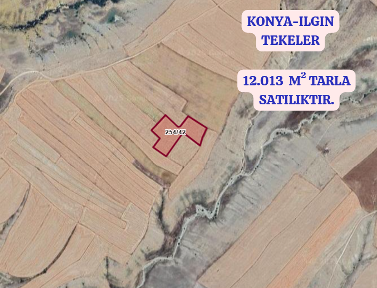 KONYA ILGIN TEKELER  KÖYÜNDE 12.013 M² TARLA  SATILIKTIR - KONYA ILGIN fotoğraf 2