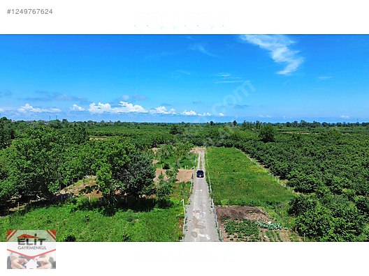 KARASU KUYUMCULUDA SATILIK 463 M2 FIRSAT ARSA - SAKARYA KARASU fotoğraf 4