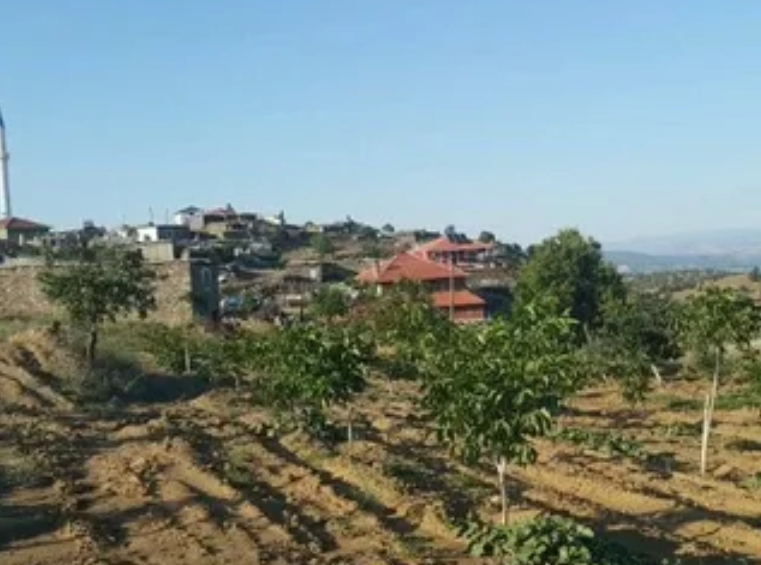 UŞAK EŞME OYMALI KÖYÜNDE 10.100 M² TARLA SATILIKTIR - UŞAK EŞME fotoğraf 12