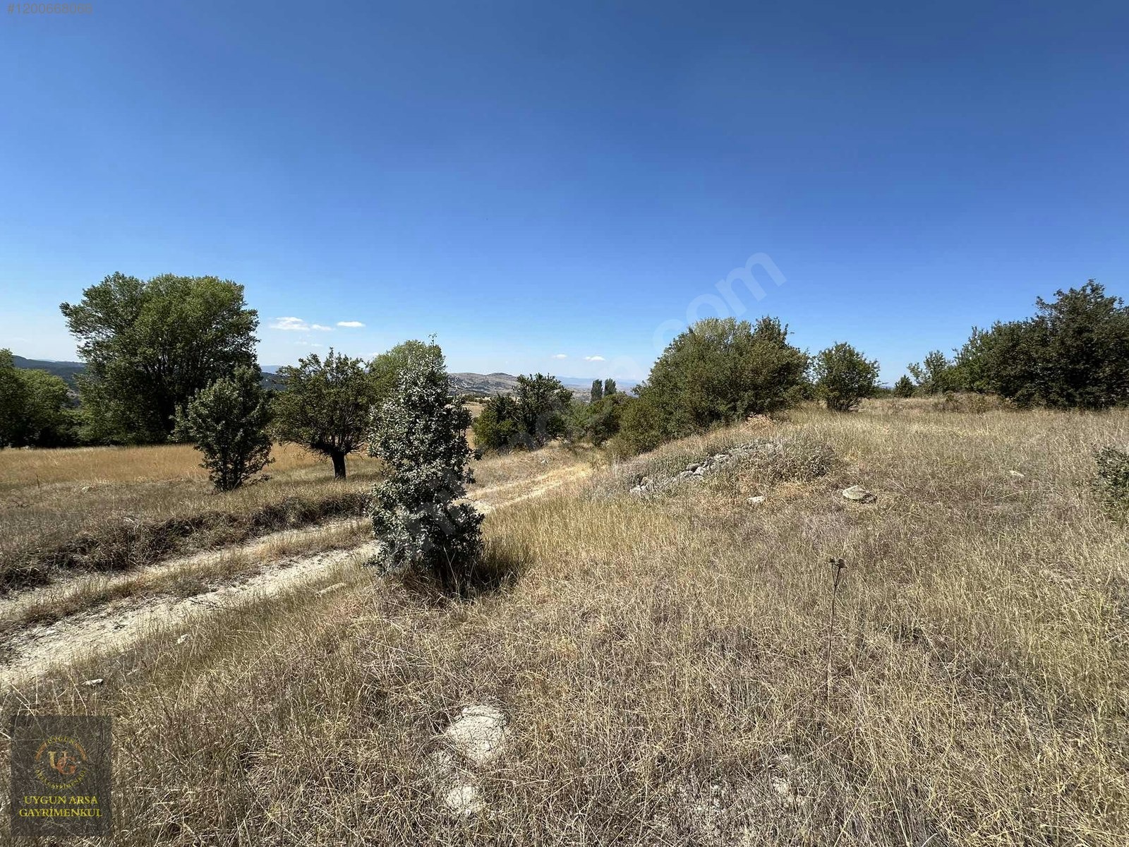 BOLU KIBRISCIK SARIKAYA'DA 8.370 M2 UYGUN ARSA - BOLU KIBRISCIK fotoğraf 11