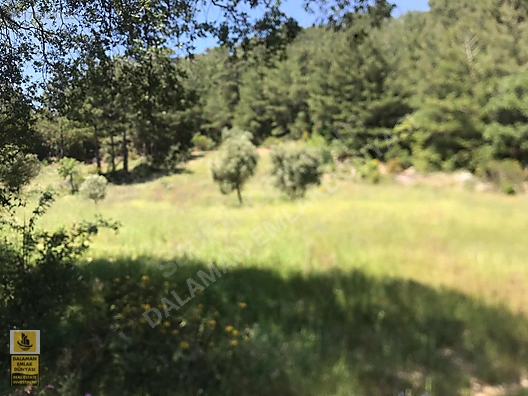 DALAMAN EMLAK DÜNYASINDAN BOZBELDE TEK TAPU SATILIK TARLA - MUĞLA DALAMAN fotoğraf 3