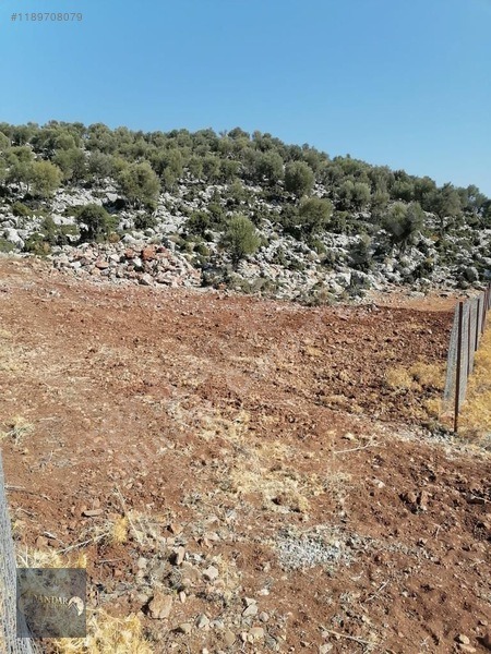 DÖŞEMEALTI AKKOÇTA TEK TAPULU 426 M² STRATEJİK YATIRIM ARAZİSİ - ANTALYA DÖŞEMEALTI fotoğraf 6