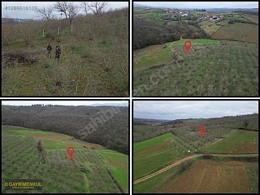Ferizli Hocaoğlu'nda Satılık 2400 m² Fındık Bahçesi - SAKARYA FERİZLİ fotoğraf 35