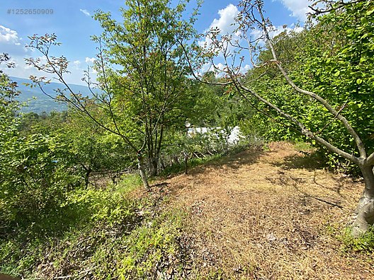BURSA M.KEMALPAŞA KURŞUNLU  7.300 M² TARLA SATILIKTIR. - BURSA MUSTAFAKEMALPAŞA fotoğraf 7