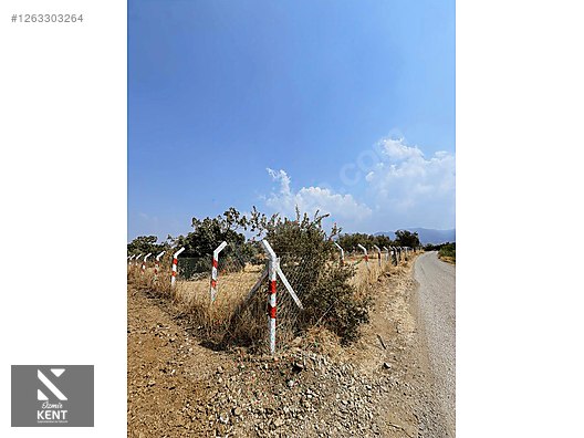 Kemalpaşa Bağyurdu Satılık 5650 m2 Bahçe - İZMİR KEMALPAŞA fotoğraf 9