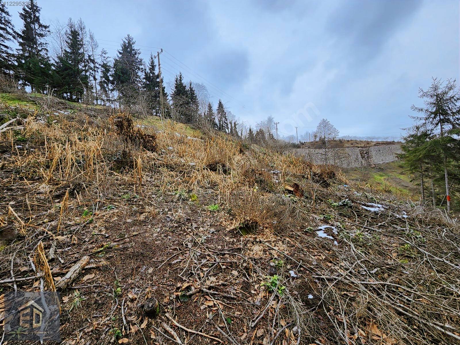 E&D GYO'DAN TRABZON KAVALA'DA SATILIK 1050 M² MANZARALI ARSA - TRABZON ORTAHİSAR fotoğraf 5