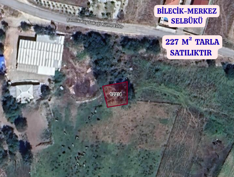 BİLECİK MERKEZ SELBÜKÜ  KÖYÜNDE  227 M²  TARLA  SATILIKTIR - BİLECİK MERKEZ fotoğraf 2