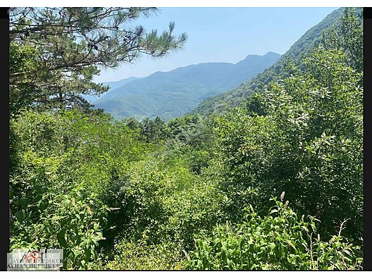 AYHAN HEPDİKER DEN GEYVE NURİOSMANİYEDE 18000 M2 HARİKA KONUMDA - SAKARYA GEYVE fotoğraf 33