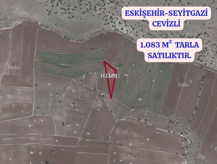  ESKİŞEHİR SEYİTGAZİ CEVİZLİDE 1.083 m2 TARLAMIZ SATILIKTIR. - ESKİŞEHİR SEYİTGAZİ fotoğraf 2
