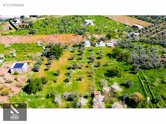 Kemalpaşa Armutlu Satılık Arazi 4.000 m2 - İZMİR KEMALPAŞA fotoğraf 16