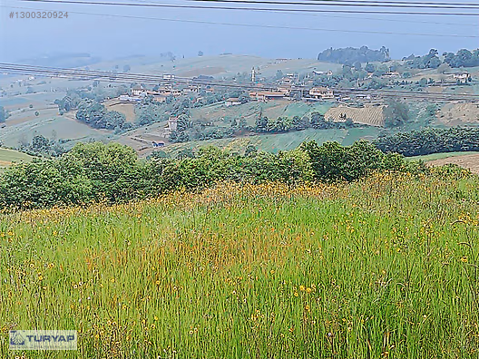 Derince Geredeli Satılık Tarla 5.930 m² (Sevindik Yakını) - KOCAELİ DERİNCE fotoğraf 4