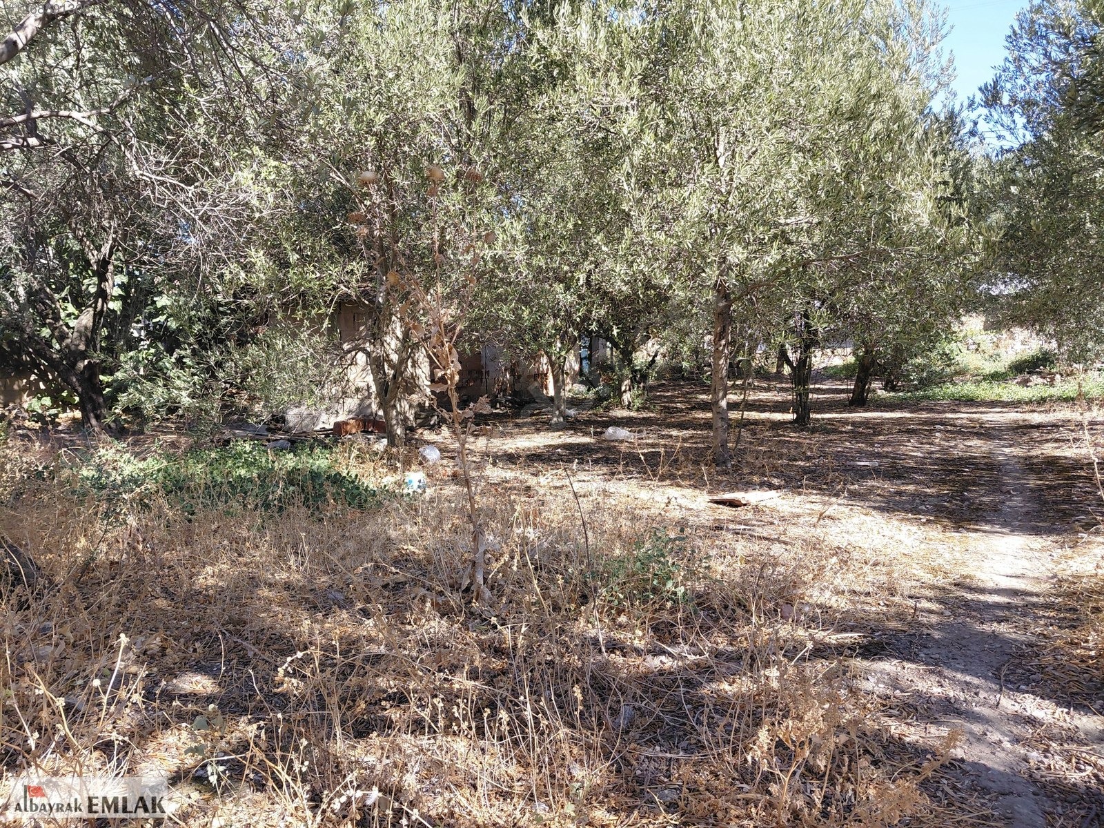 AKHİSAR RAHMİYE DE SATILIK 470 M2 ARSALI ESKİ KÖY EVİ 1.275.000 - MANİSA AKHİSAR fotoğraf 10